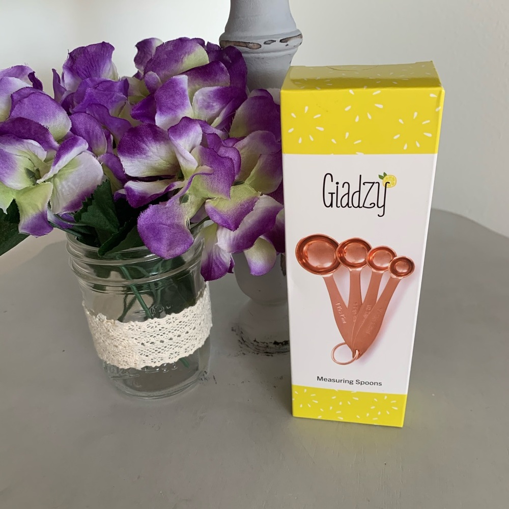 Giazdy  Copper Plated Measuring Spoons NIB